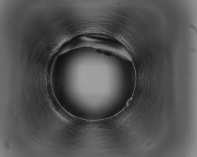 X0000093370530200710191117