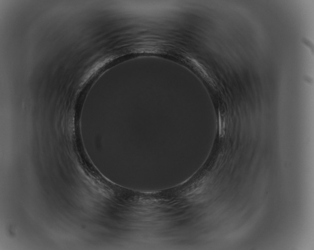 X0000093370531200710191117