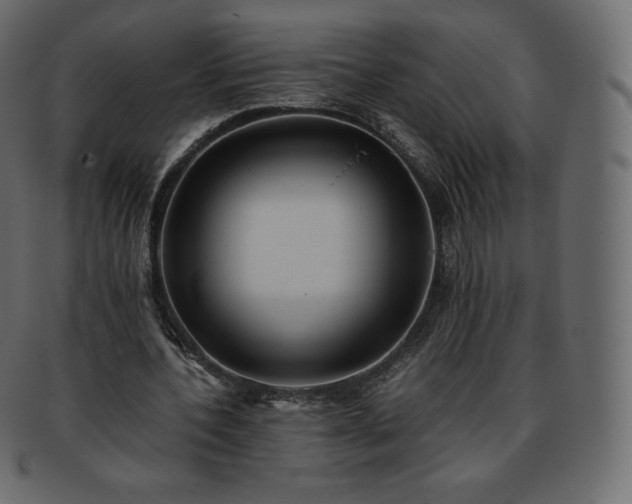 X0000093370532200710191117