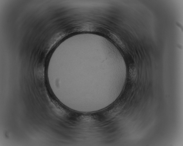 X0000093370534200710191117