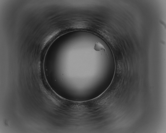 X0000093370535200710191117