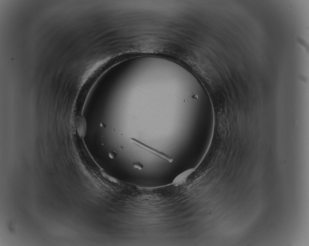 X0000093370536200710191117