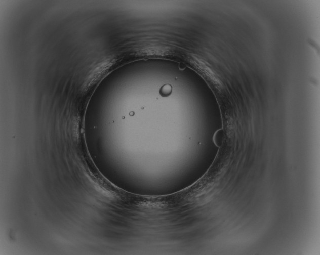 X0000093370537200710191118