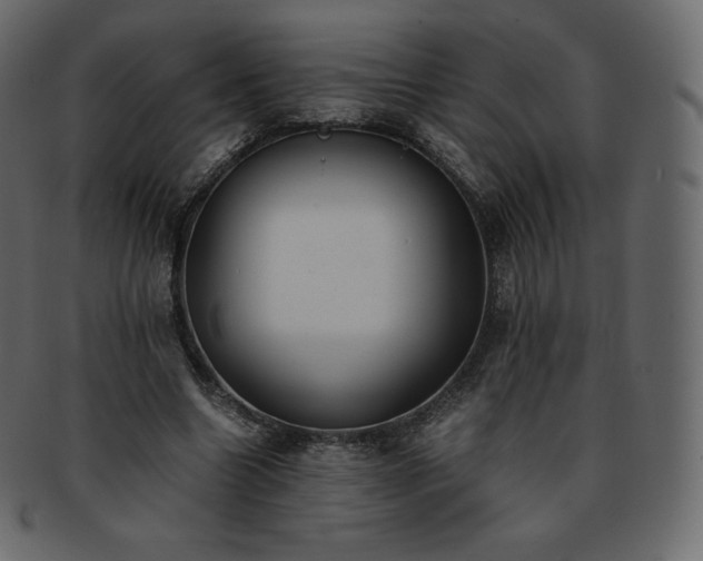 X0000093370538200710191118