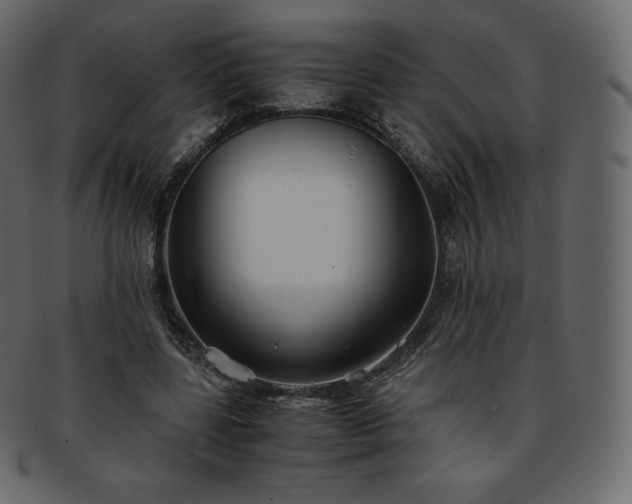 X0000093370539200710191118