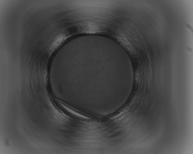 X0000093370540200710191118