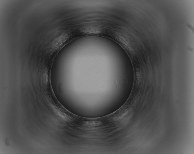 X0000093370541200710191118