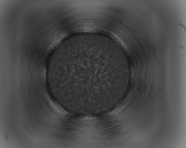 X0000093370542200710191118