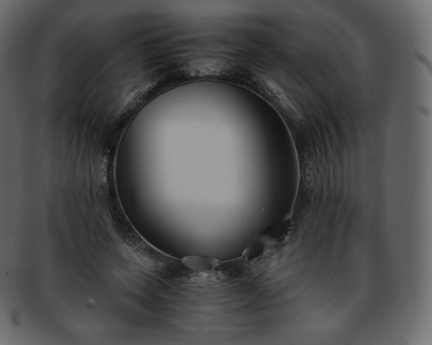 X0000093370543200710191118