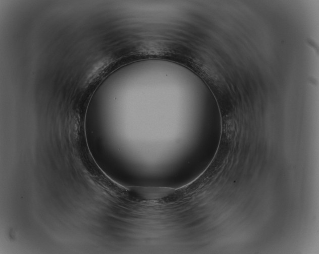 X0000093370544200710191118