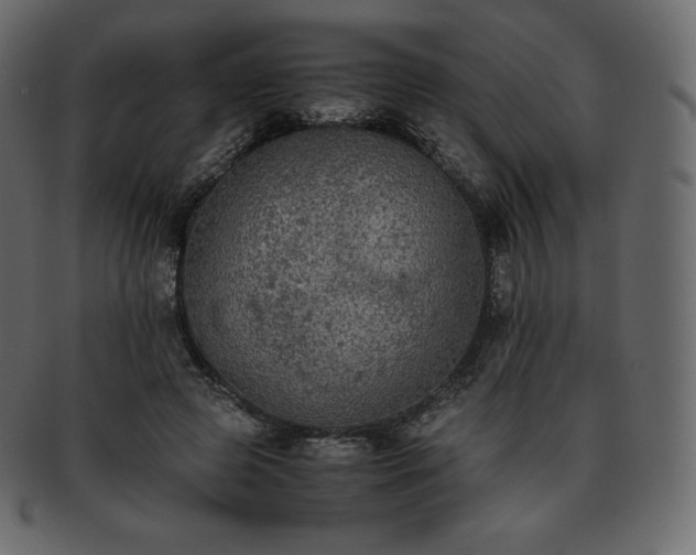 X0000093370545200710191118