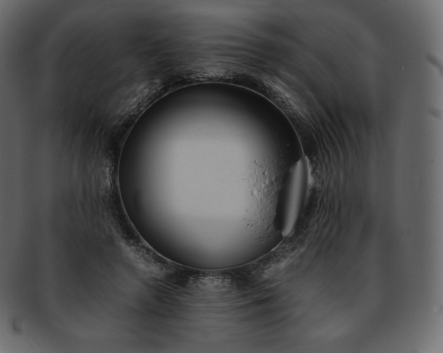 X0000093370546200710191118