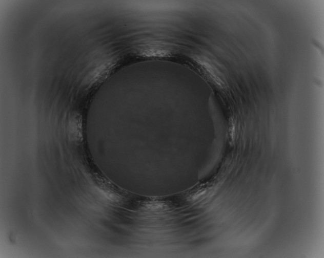 X0000093370547200710191118