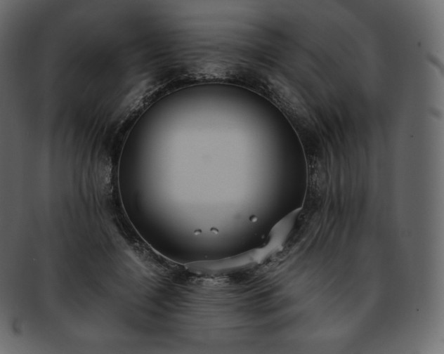 X0000093370548200710191118