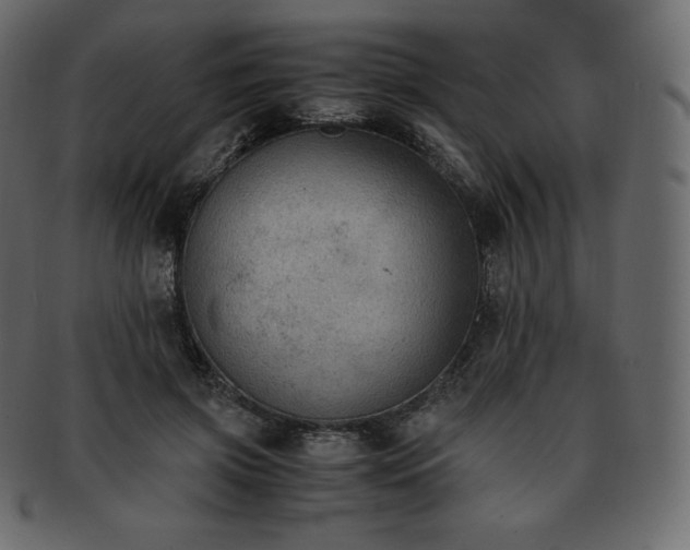 X0000093370549200710191118