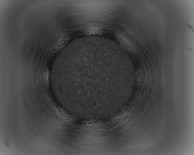 X0000093370550200710191118