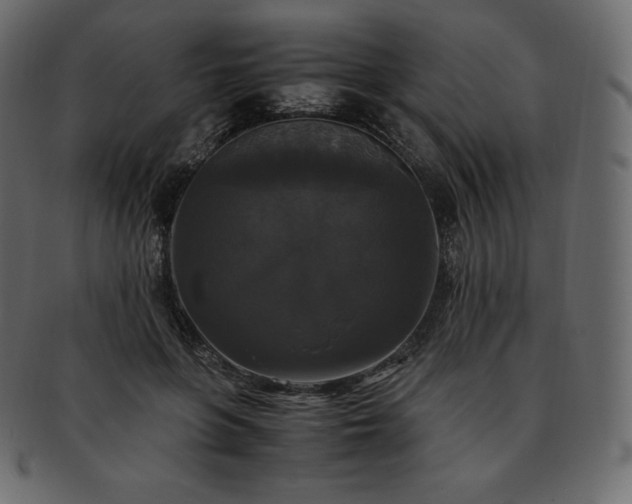 X0000093370551200710191118