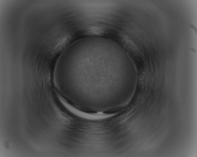 X0000093370552200710191118