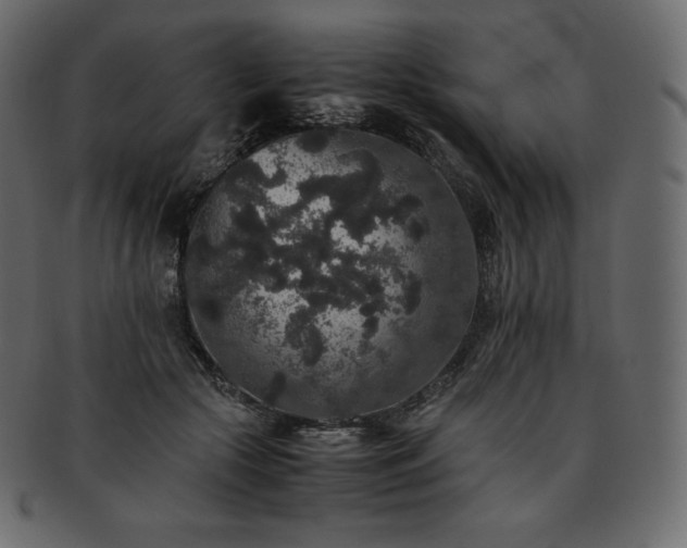 X0000093370553200710191118