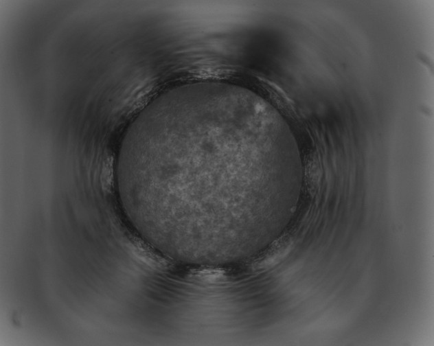 X0000093370554200710191118