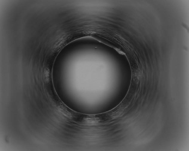 X0000093370556200710191118