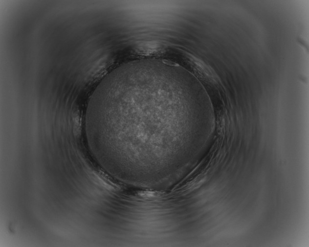 X0000093370558200710191118