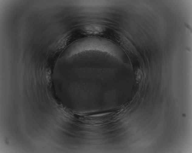 X0000093370559200710191118