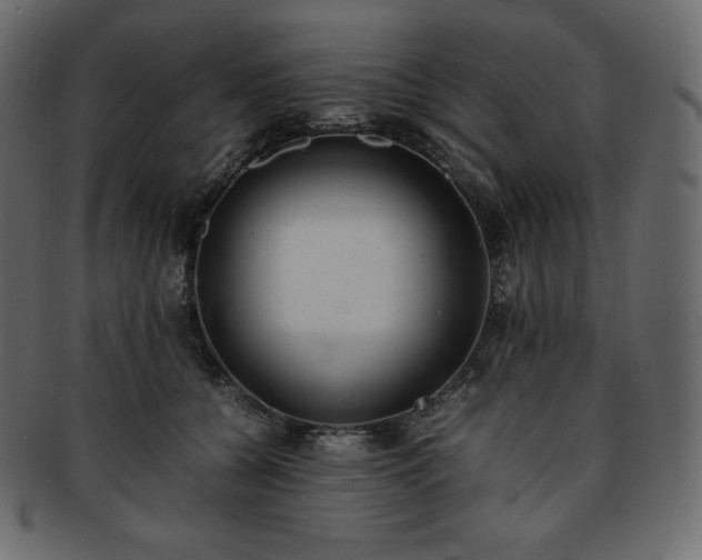 X0000093370560200710191118