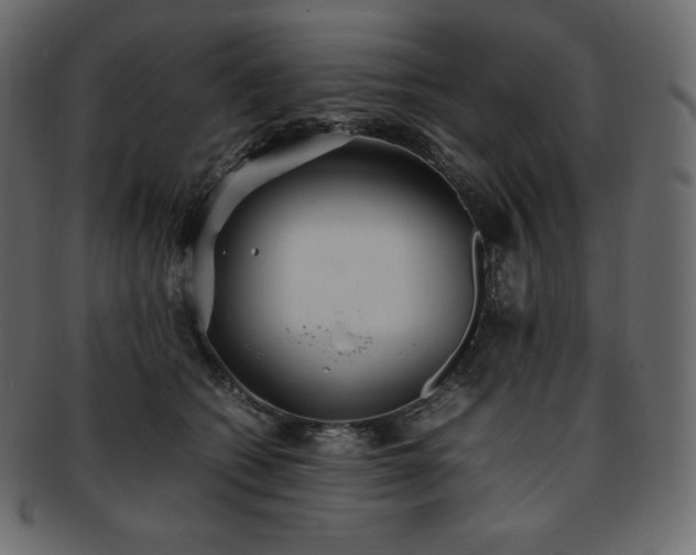 X0000093370562200710191118