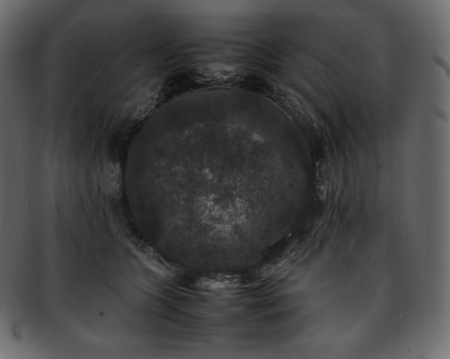 X0000093370563200710191118