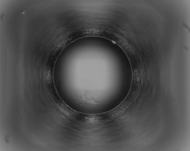 X0000093370564200710191118