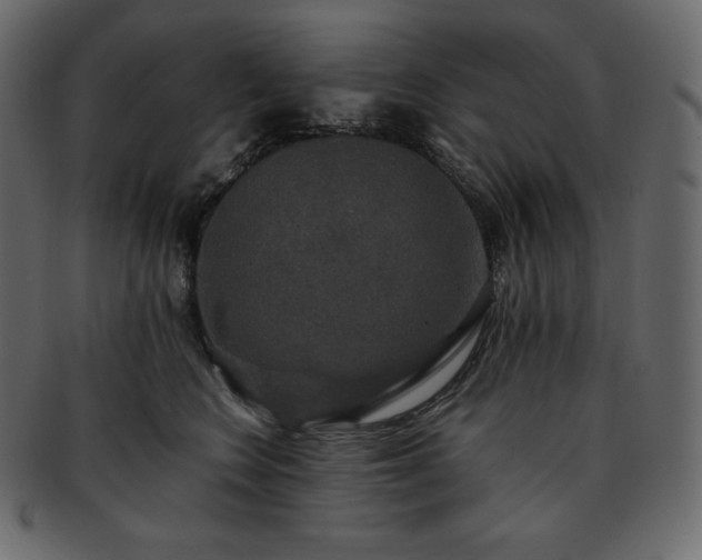 X0000093370566200710191118