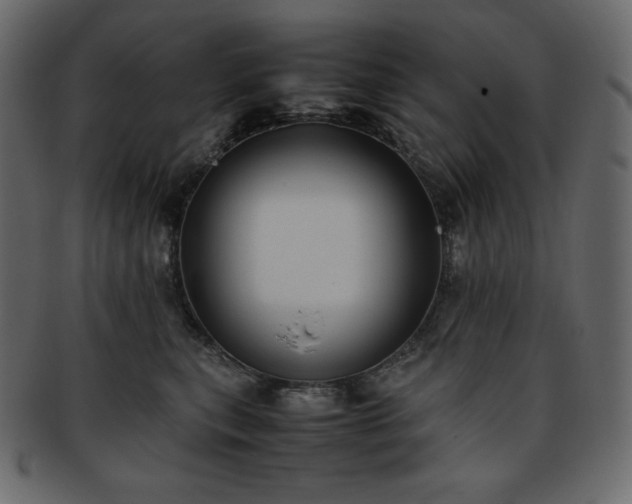 X0000093370567200710191118