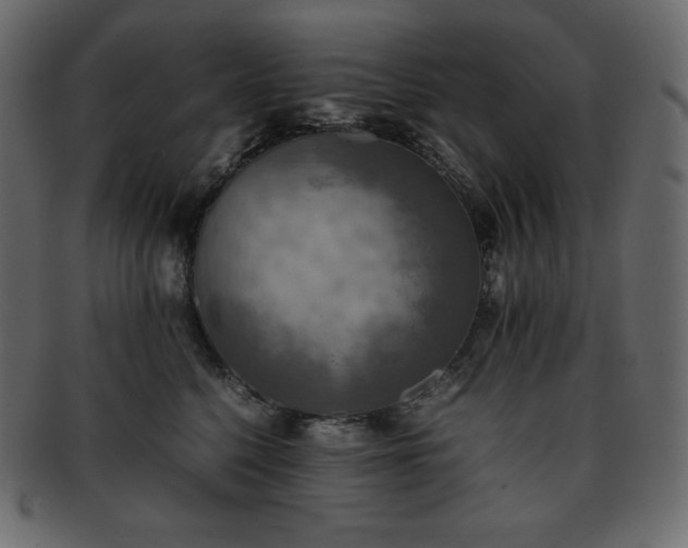 X0000093370568200710191118