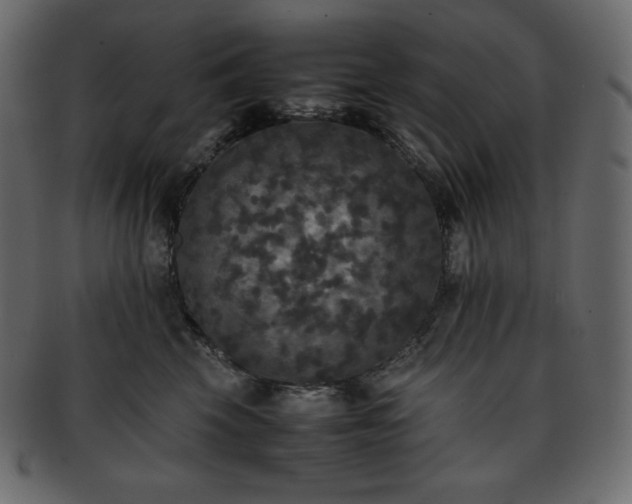 X0000093370569200710191118