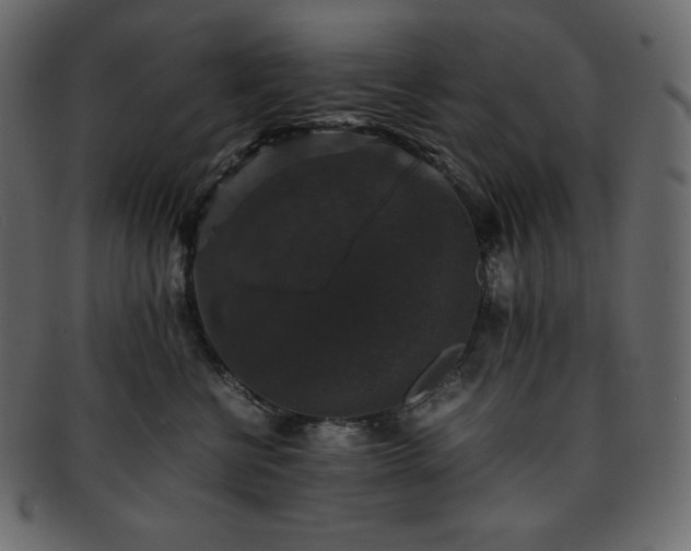 X0000093370570200710191118