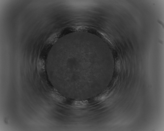 X0000093370571200710191118