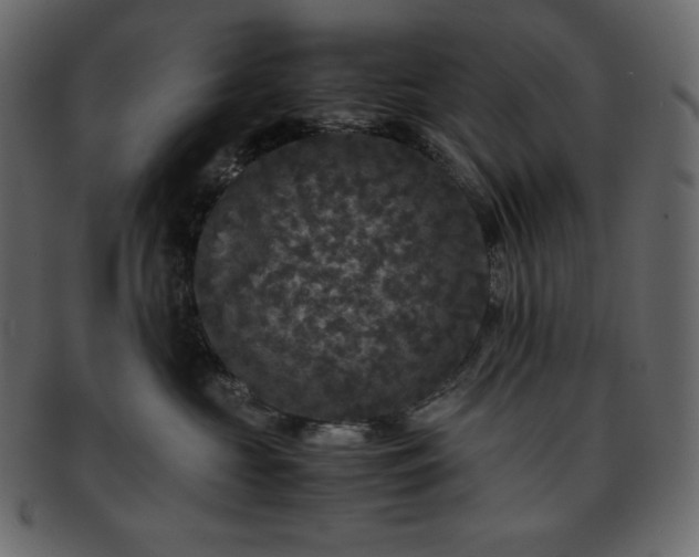 X0000093370573200710191118