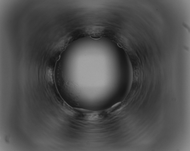 X0000093370575200710191118