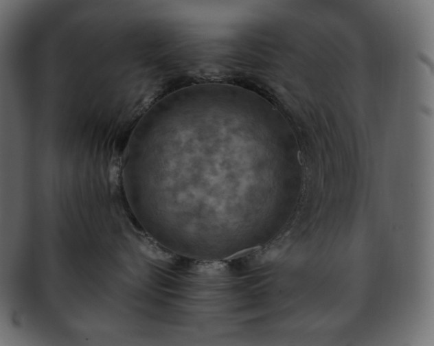 X0000093370576200710191118