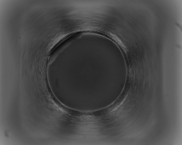 X0000093370577200710191117