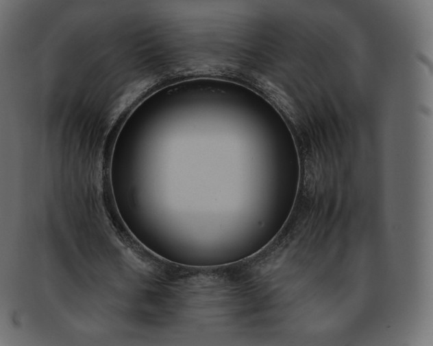 X0000093370578200710191117