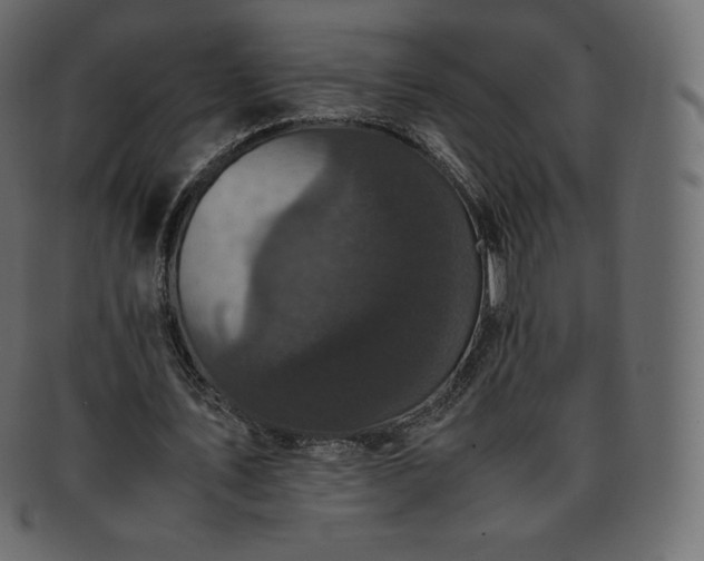 X0000093370579200710191117