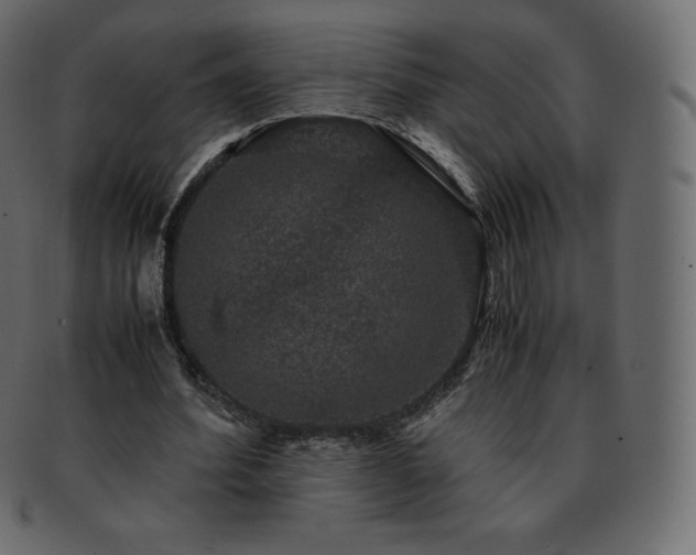 X0000093370580200710191117