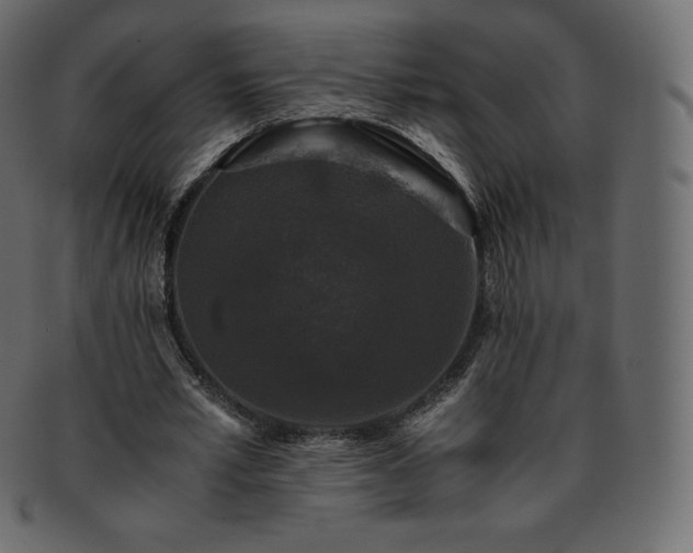 X0000093370581200710191117