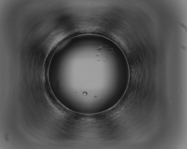 X0000093370582200710191117