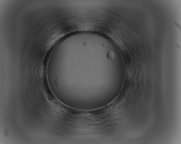 X0000093370583200710191117