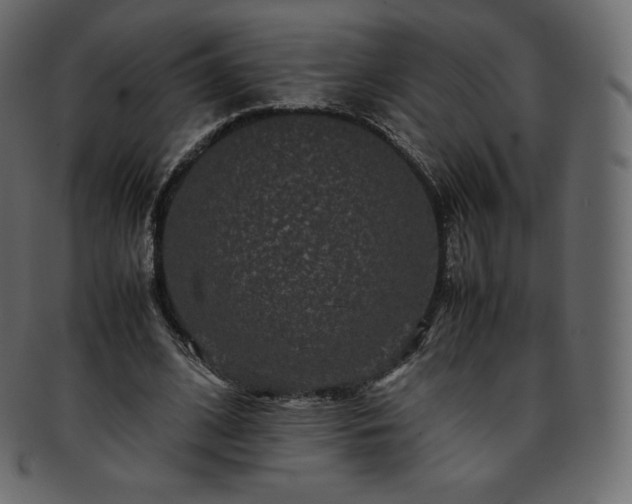 X0000093370584200710191117