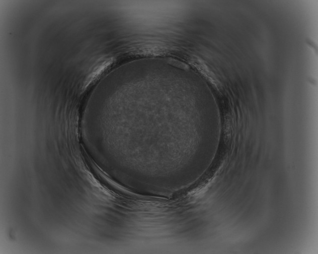 X0000093370585200710191117