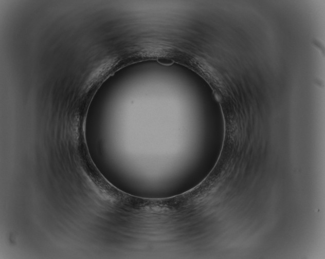 X0000093370586200710191117